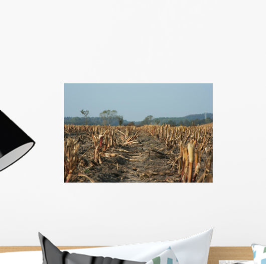 Agriculture Abgeerntetes Field Stubble