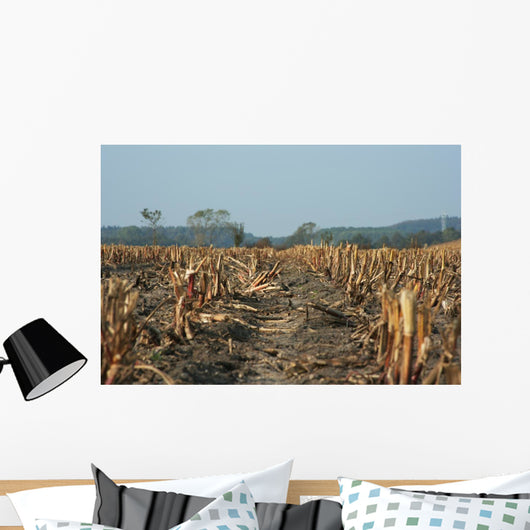 Agriculture Abgeerntetes Field Stubble