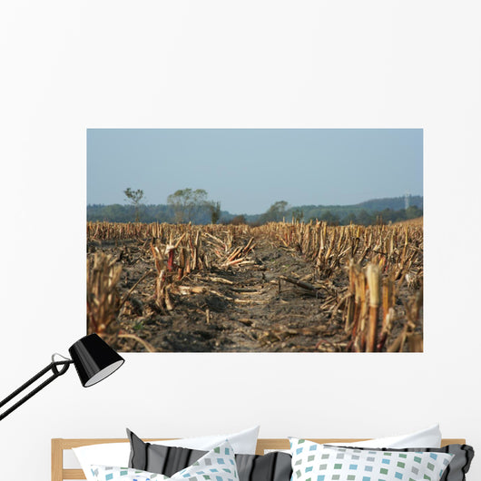 Agriculture Abgeerntetes Field Stubble