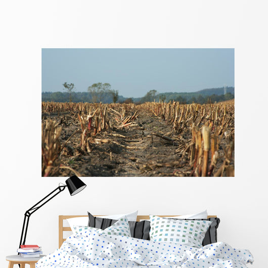 Agriculture Abgeerntetes Field Stubble
