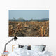 Agriculture Abgeerntetes Field Stubble