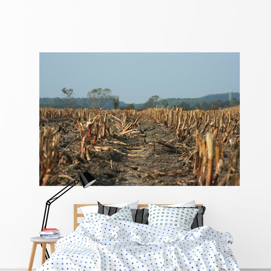 Agriculture Abgeerntetes Field Stubble