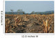 Agriculture Abgeerntetes Field Stubble