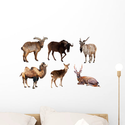 Mammal Horned Animals Wall Stickers shown on a wall