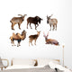 Mammal Horned Animals Wall Stickers