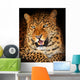 Leopard Wall Mural
