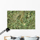 Hay up