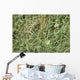 Hay up