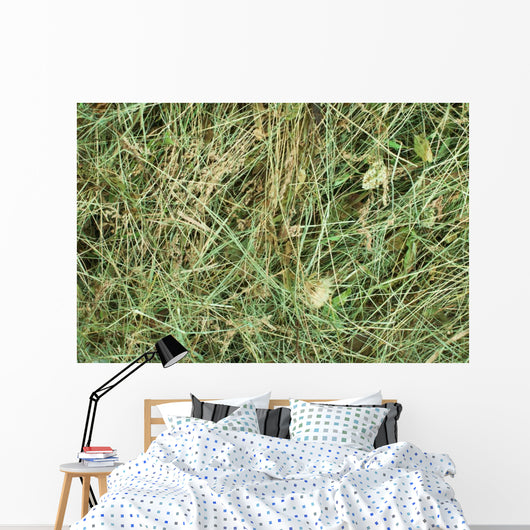 Hay up