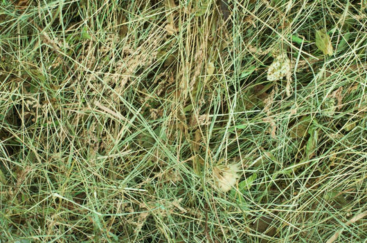 Hay up