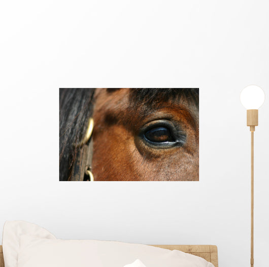 Mirror - Horse Eye Wall Mural