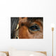 Mirror - Horse Eye Wall Mural