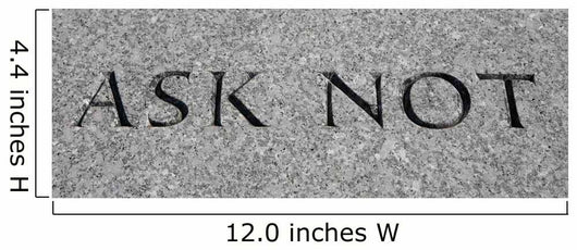 Ask Not Wall Mural