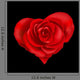 Red Roses Heart Shape