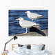 Sea Gulls Maine Usa