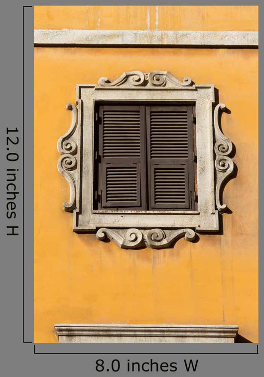 Window