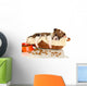 Beautiful Little Puppy Sleeping Wall Decal