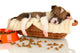 Beautiful Little Puppy Sleeping Wall Decal