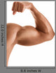 Up Man's Hand with Wall Decal
