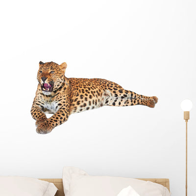 Leopard shown on a wall