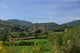 Santa Pau Wall Decal