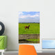 Young Foal Meadows Wall Mural