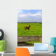 Young Foal Meadows Wall Mural