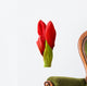 Amaryllis Buds Wall Decal