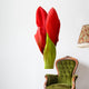 amaryllis buds Wall Decal