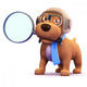 3D Pilot Dog with