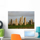 Callanish Wall Mural