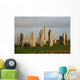 Callanish Wall Mural