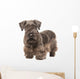 Cesky Terrier Wall Decal