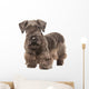 Cesky Terrier Wall Decal