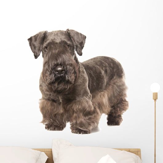 Cesky Terrier Wall Decal