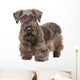 Cesky Terrier Wall Decal