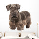 Cesky Terrier Wall Decal
