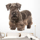 Cesky Terrier Wall Decal