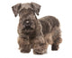 Cesky Terrier Wall Decal