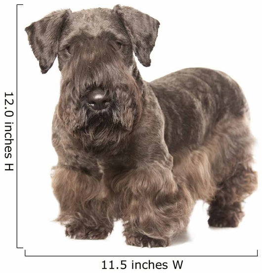 Cesky Terrier Wall Decal