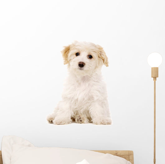 Puppy Sat White Wall Decal
