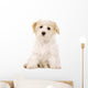 Puppy Sat White Wall Decal