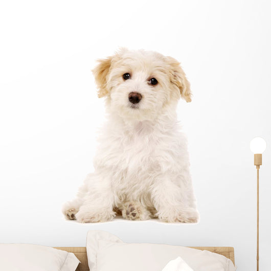 Puppy Sat White Wall Decal