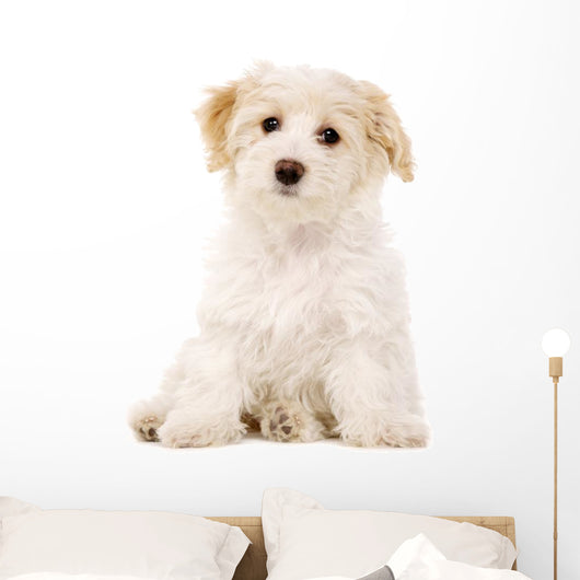 Puppy Sat White Wall Decal