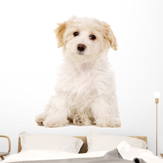 Puppy Sat White Wall Decal