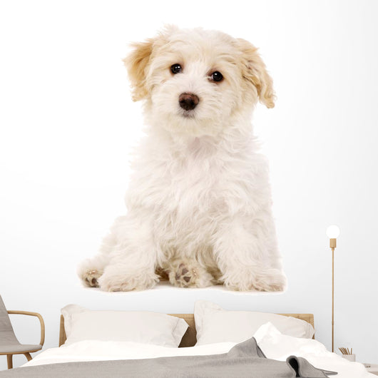 Puppy Sat White Wall Decal
