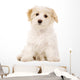 Puppy Sat White Wall Decal