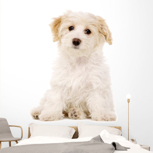 Puppy Sat White Wall Decal