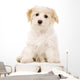 Puppy Sat White Wall Decal