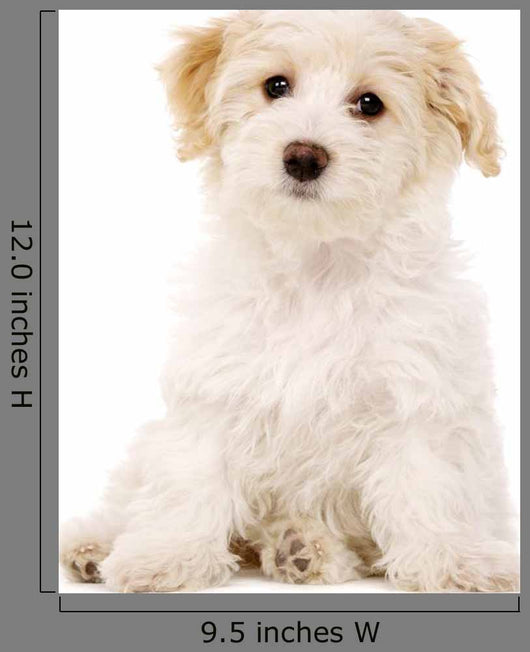 Puppy Sat White Wall Decal